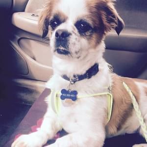 Meet your Posher, Janice